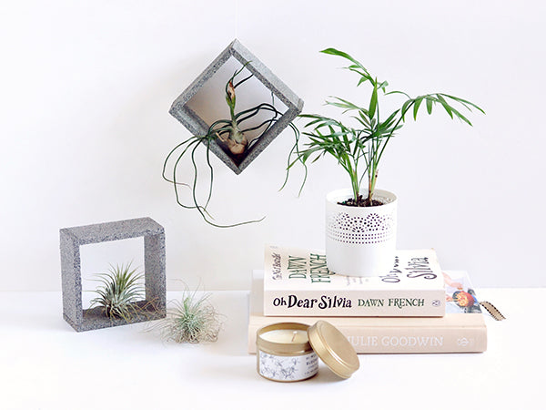 DIY faux stone air plant holders