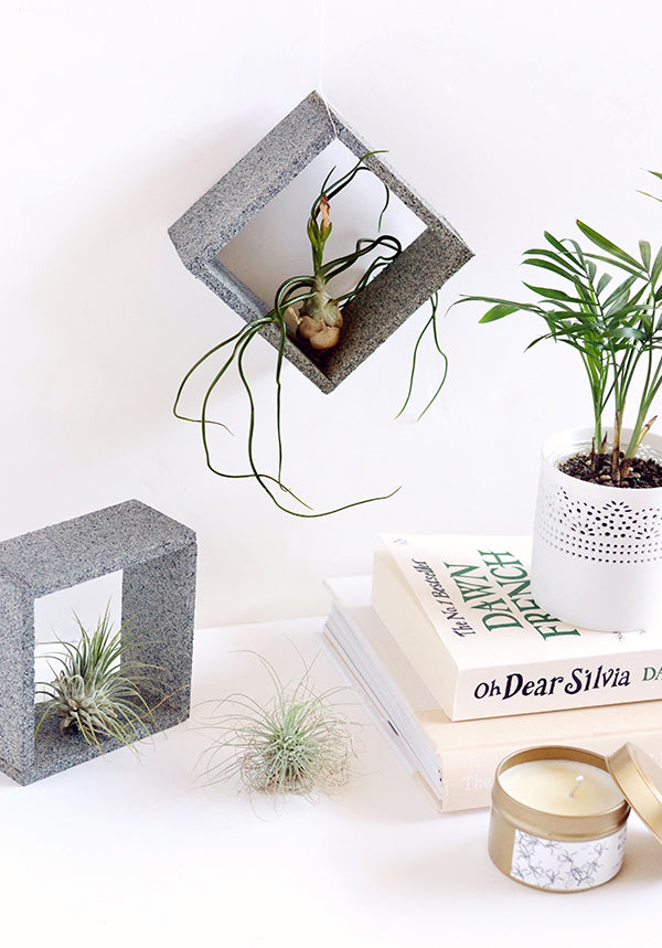 DIY faux stone air plant holders