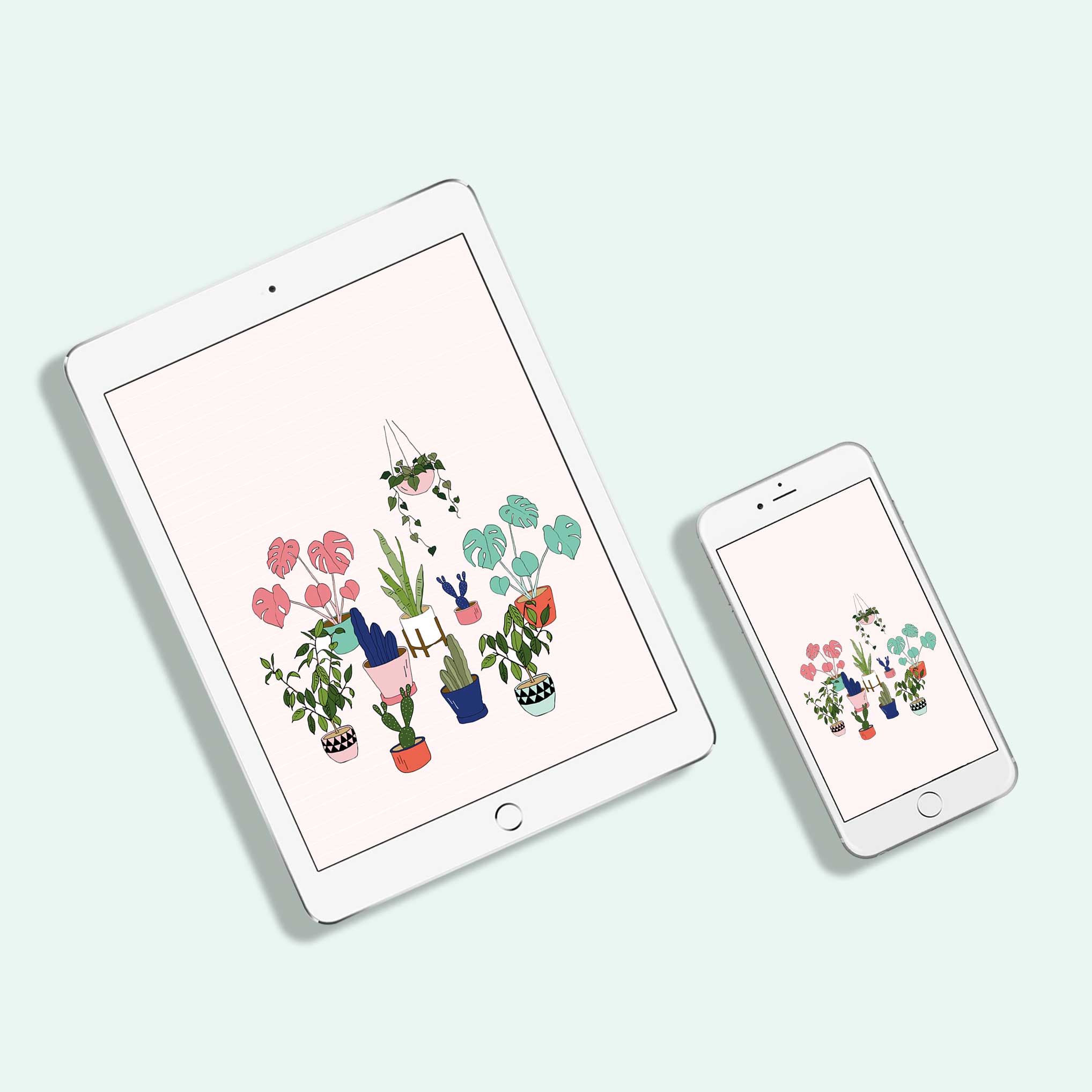 Pot plant wallpaper - free download for desktop, tablet and phone