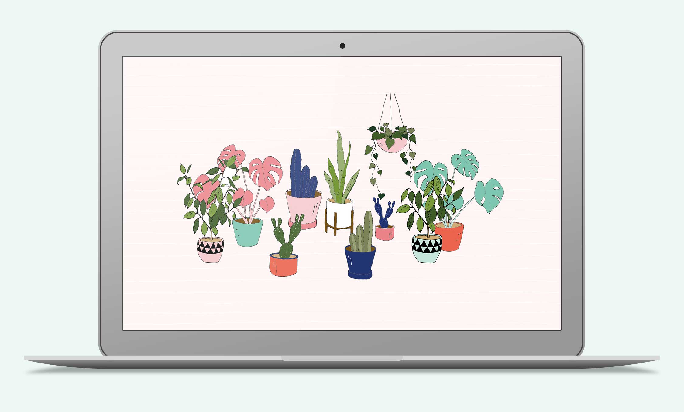 Pot plant wallpaper - free download for desktop, tablet and phone