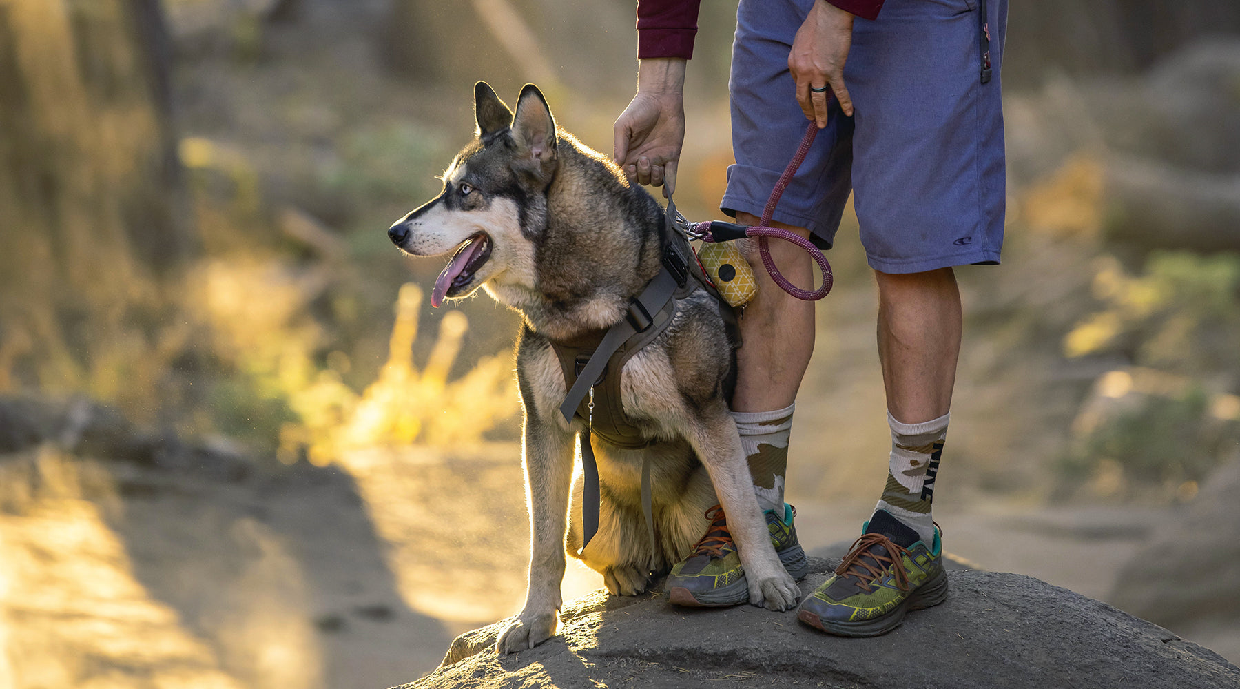 Take a Hike