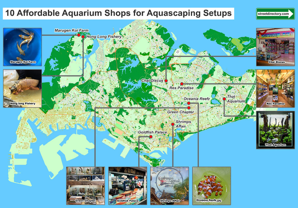 Affordable Aquarium Shops in Singapore