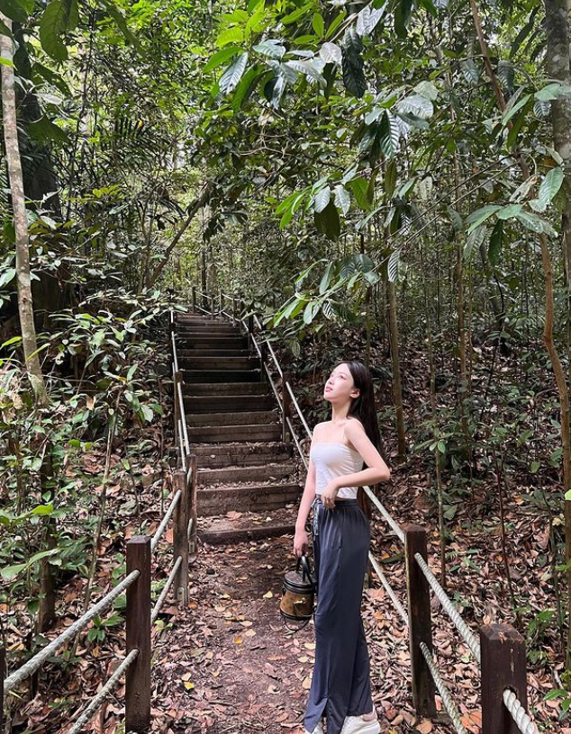 Bukit Timah Reserve