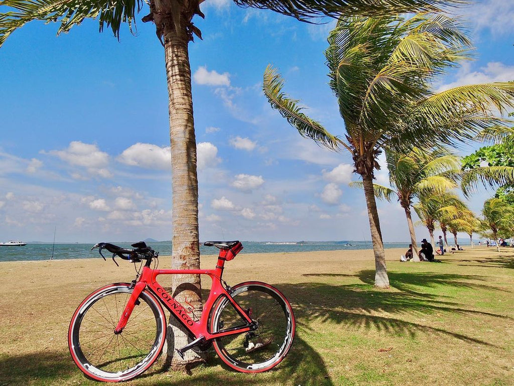 Changi Beach Park