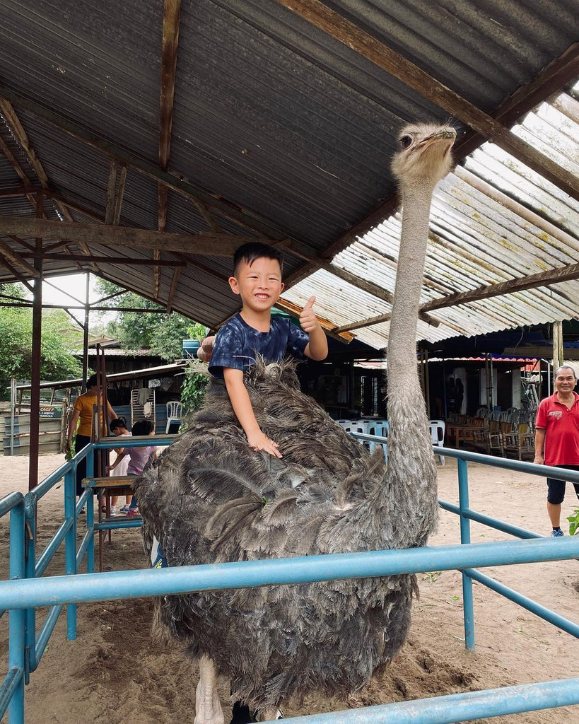 Desaru Ostrich Farm