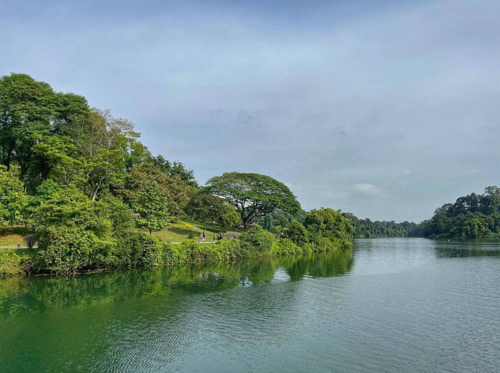 MacRitchie Reservoir