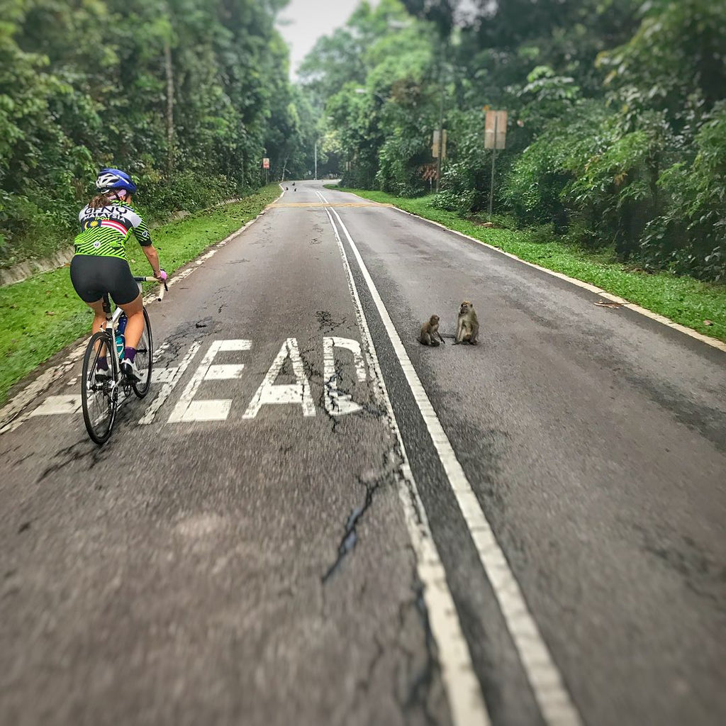 Mandai Loop