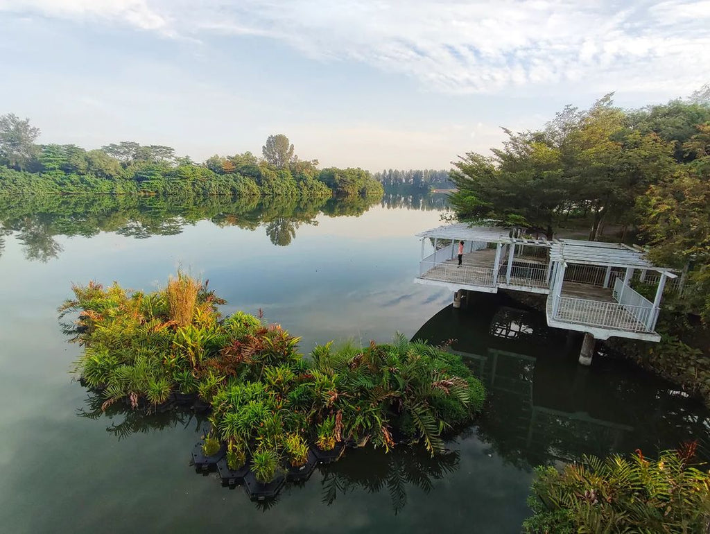 Punggol Waterway Park