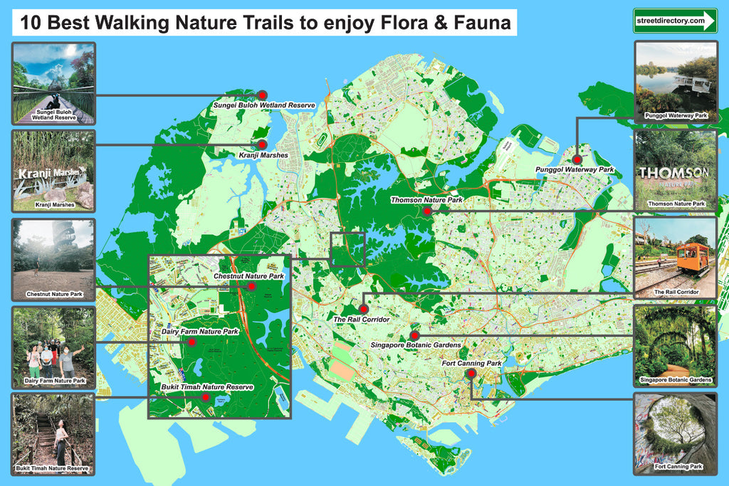 Nature Trails in Singapore