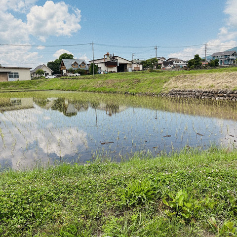 八ヶ岳南麓ファーム