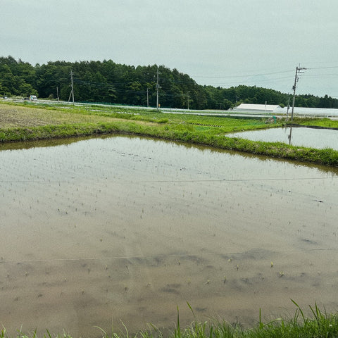 八ヶ岳南麓ファーム