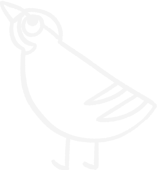 kokako