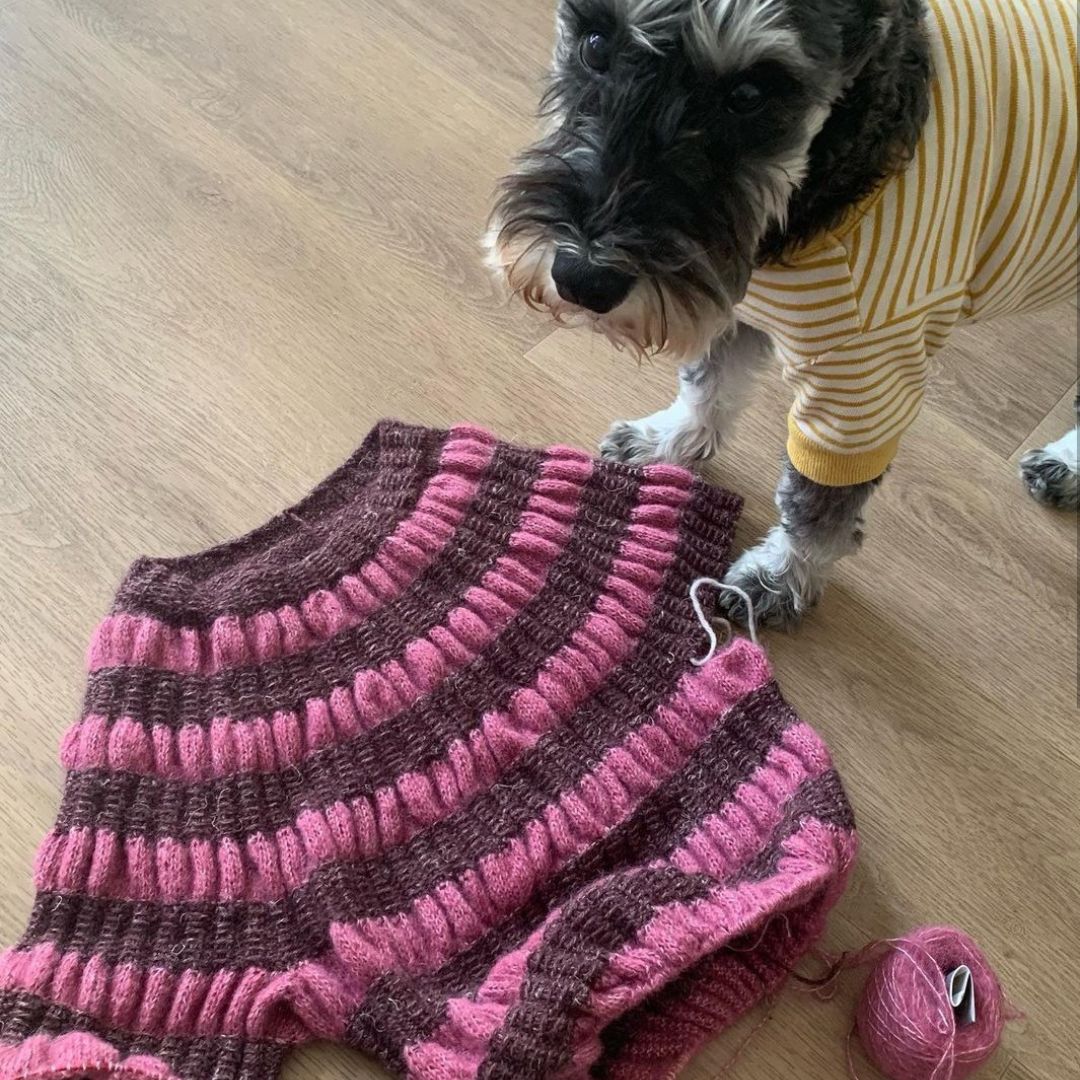 The beautiful  Autumn Forager  sweater with dog Buster!Photo credit: Little Purl