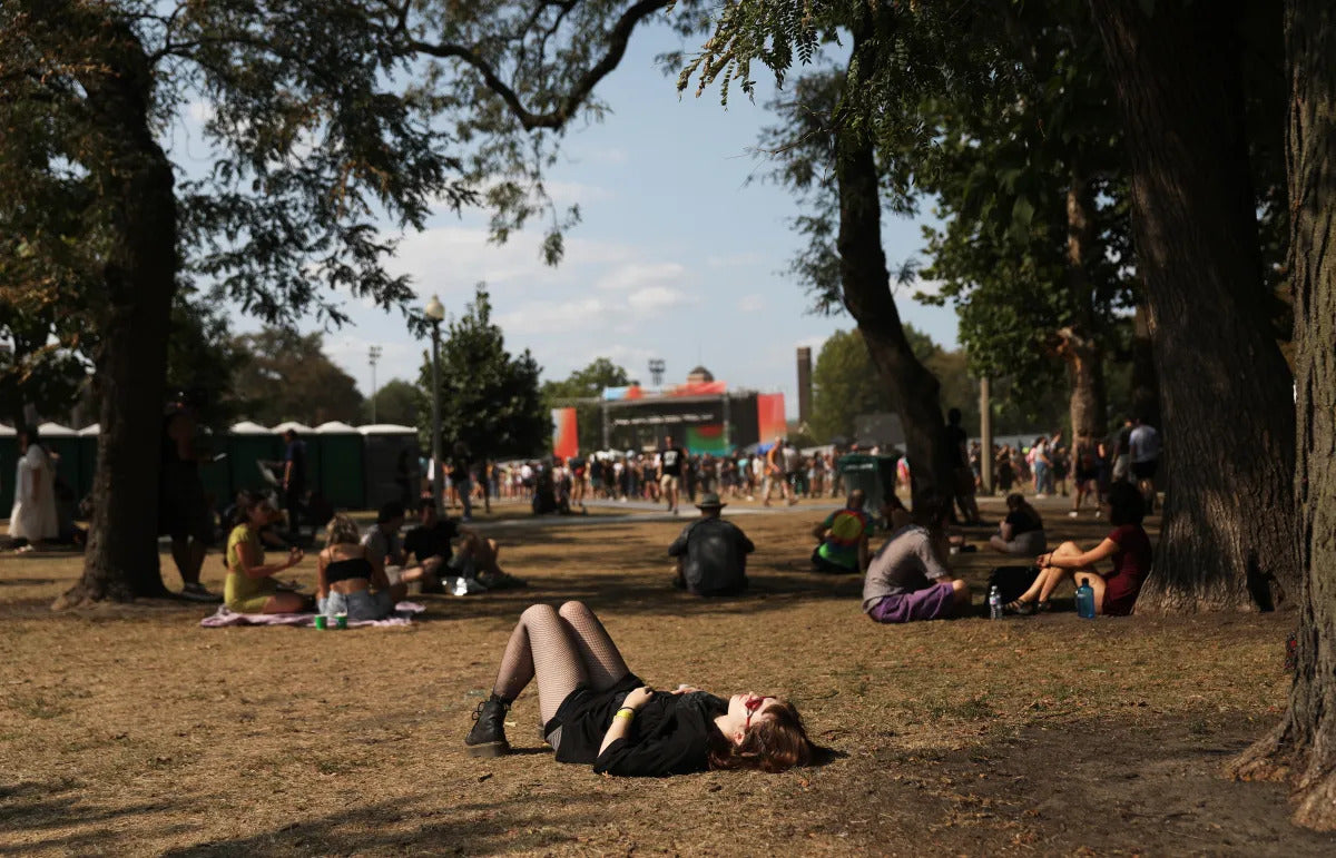 Woman At Music Festival Relaxing Under a Tree