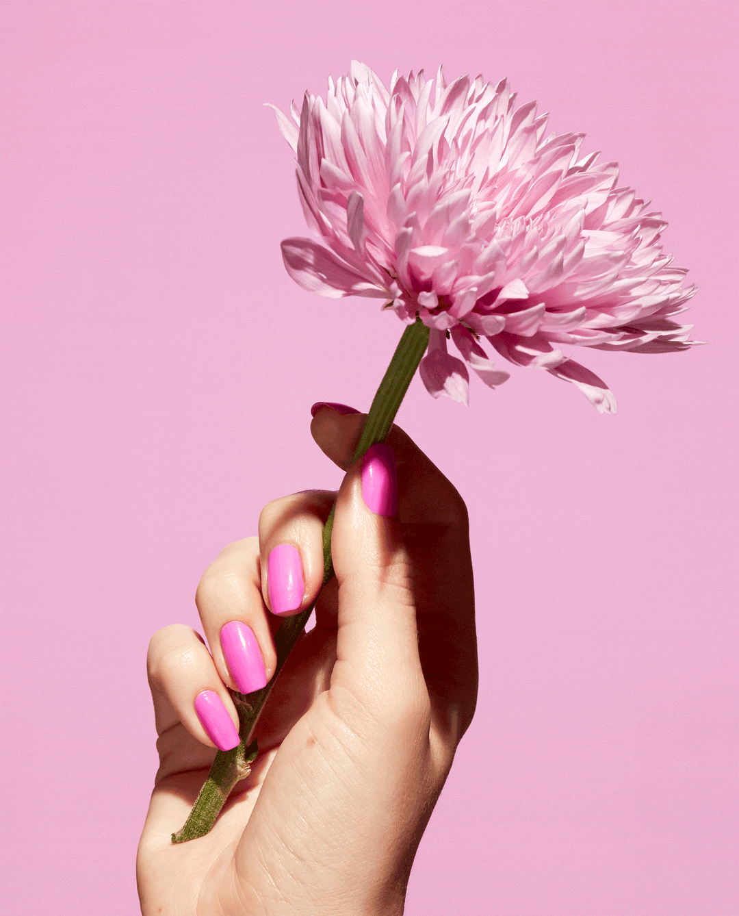 OPI Emflowered Pink Natural-origin Nail Polish GIF