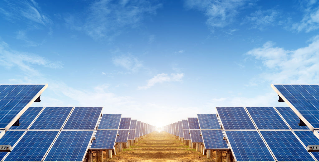 Solar Energy  Harnessing The Power of the Sun — Treepublic Inc.