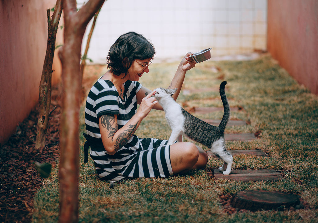 cat owner feeding her cat