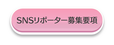 snsレポーター応募要項