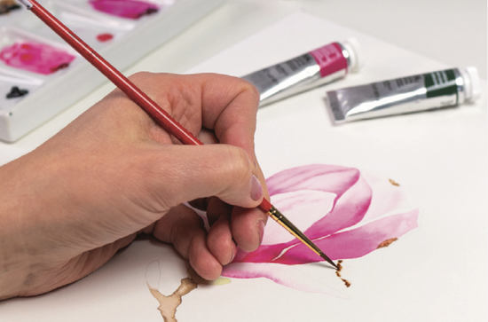 Winsor & Newton Watercolour Magnolia Tutorial