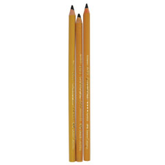 Derwent® Tinted Charcoal Pencil 12 Color Tin Set