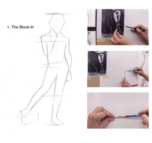 Intro to Figure Drawing with Mandy Boursicot – Opus Art Supplies