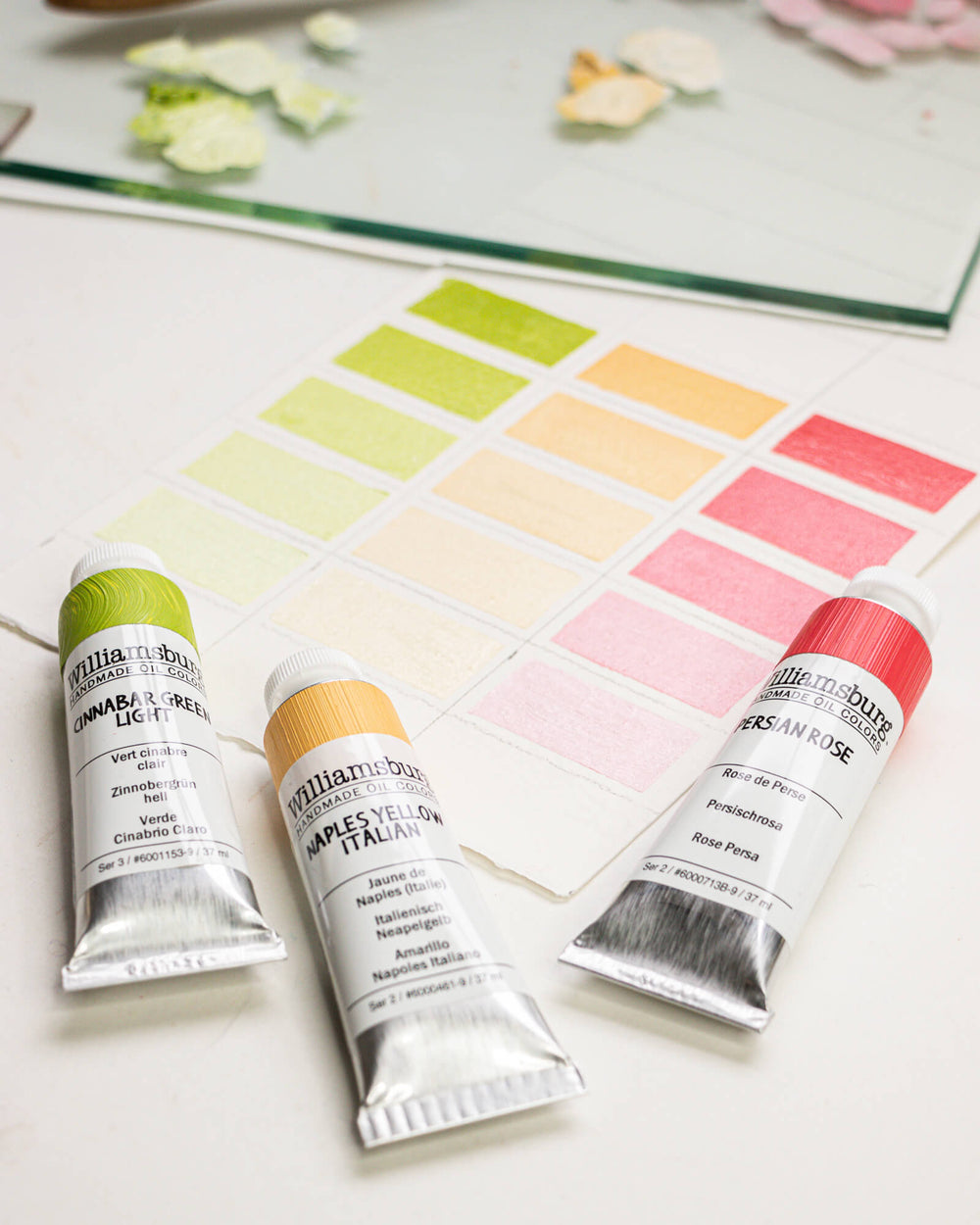 Old Holland : Classic Oil Paint : Printed Colour Chart