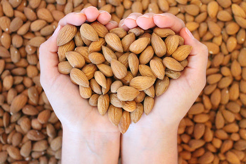 Organic Almond On Tree