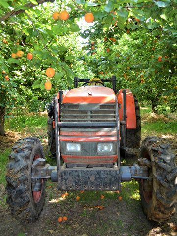 BellaViva Apricot Tractor