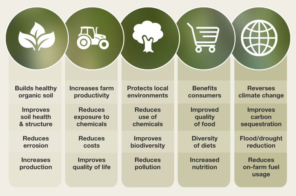 Regenerative Farming Practices