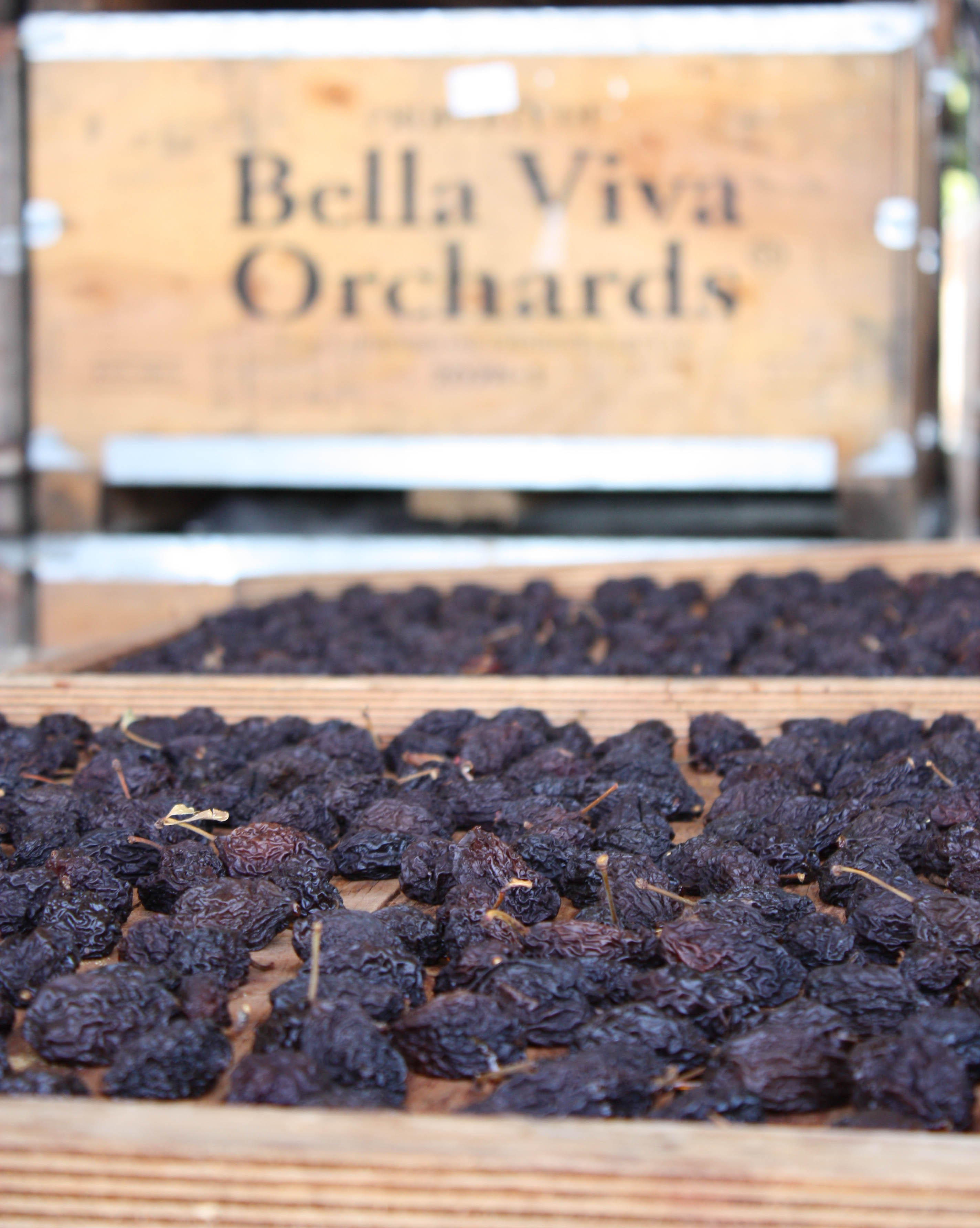 Organic Dried Pitted Prunes By Bella Viva California Grown