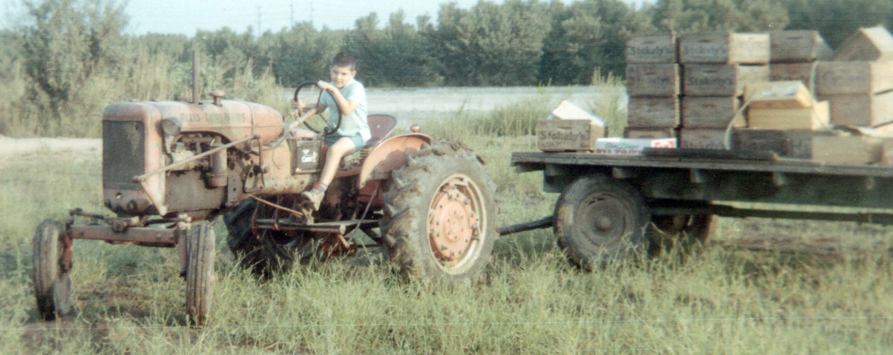 Victor Martino on the family farm hauling peaches at 7 years old.