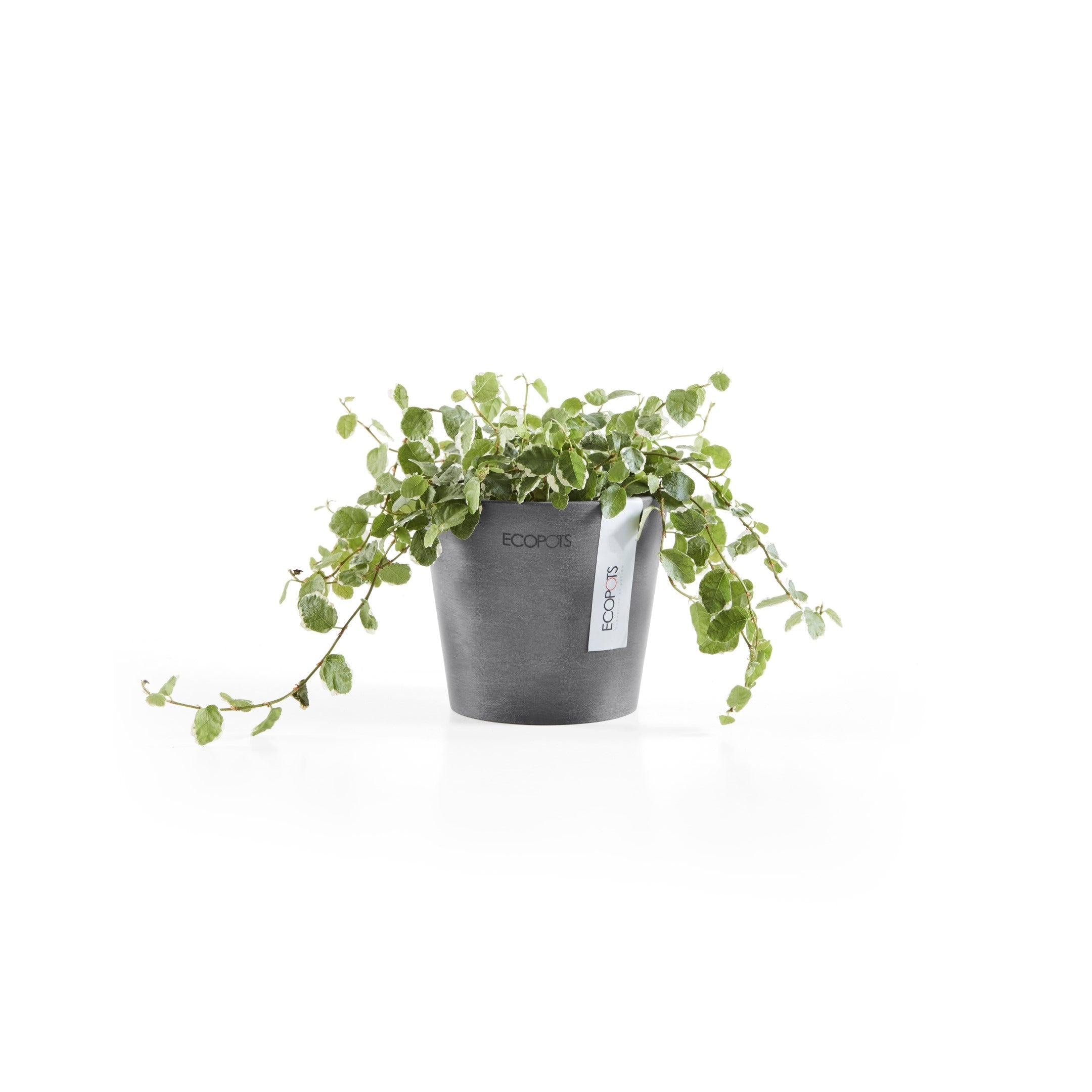 ECOPOTS Amsterdam Mini – Ecopots Africa South