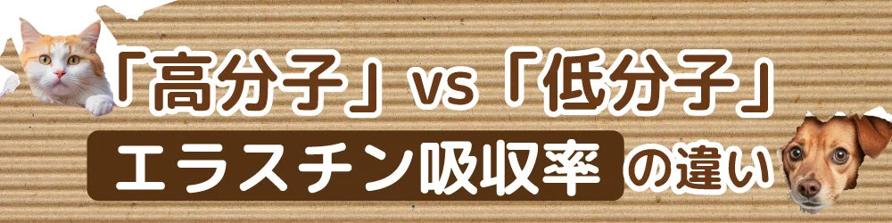 「高分子」 vs 「低分子」:エラスチン吸収の違い
