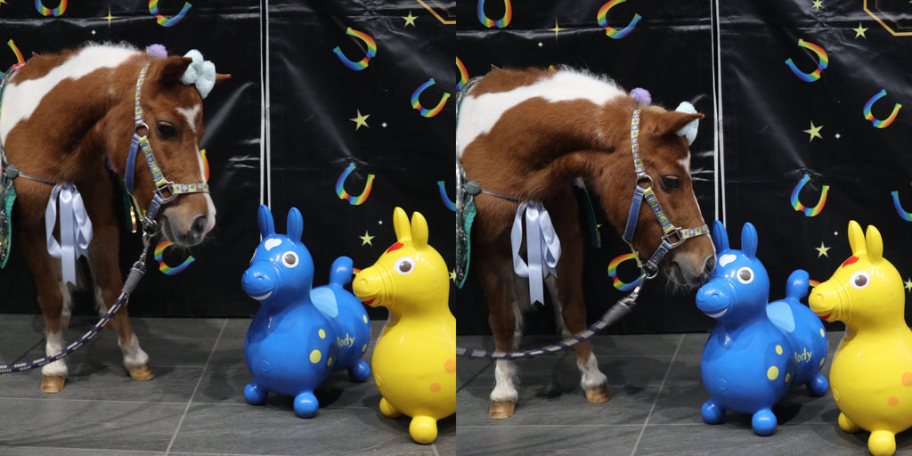 競馬場なのでミニチュアホースやポニーとも触れ合えます