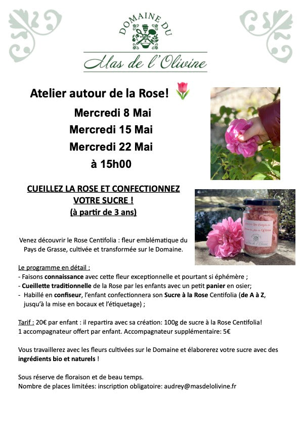 atelier-rose-centifolia