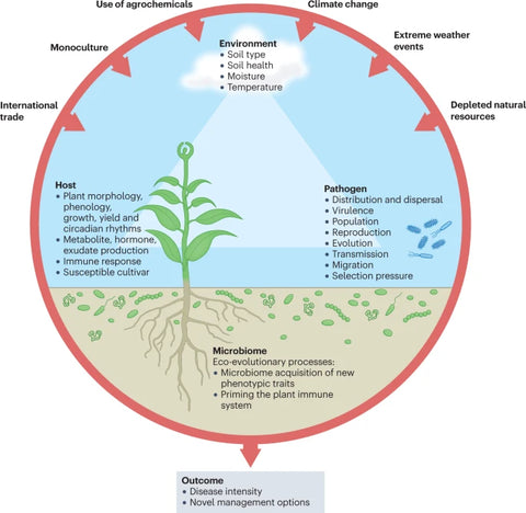 plants Continuous Care and Monitoring
