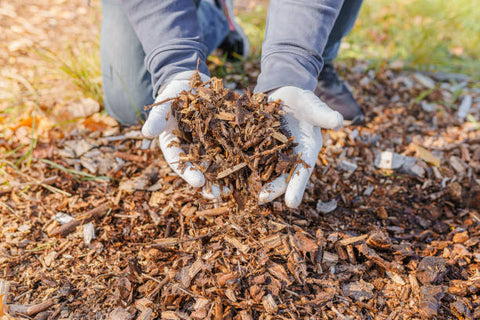 Bark Chips