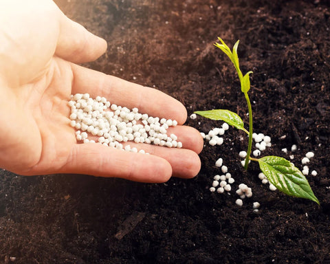 Choosing the Right Fertilizers