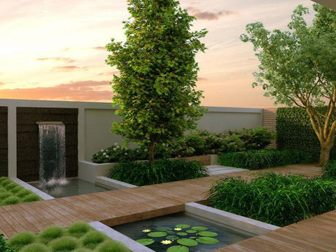 Contemporary Garden with Clean Lines and Geometric Shapes