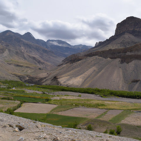 कारगिलिक वन्यजीव अभयारण्य