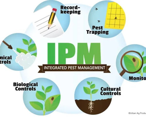 Pest and Disease Management