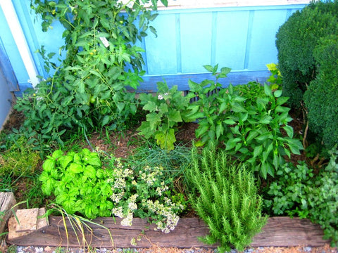 Small Space Gardening