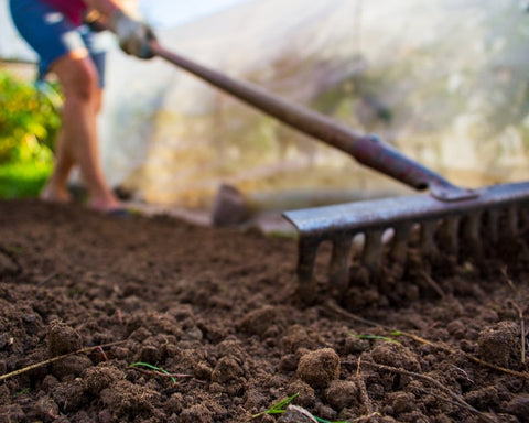 Soil Preparation and Nutrition