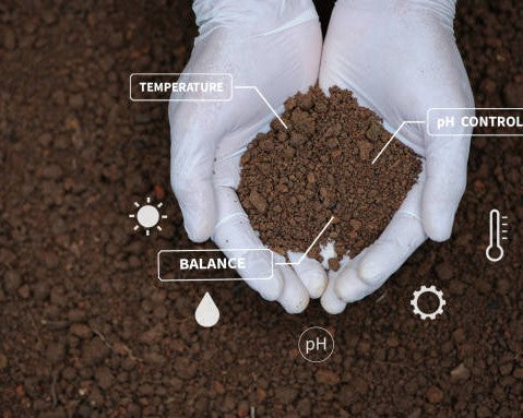 Soil and Fertilization