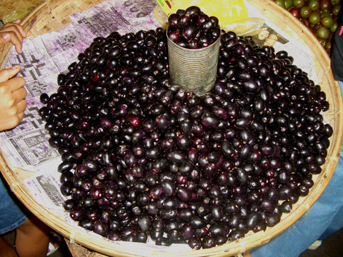 syzygium cumini fruit