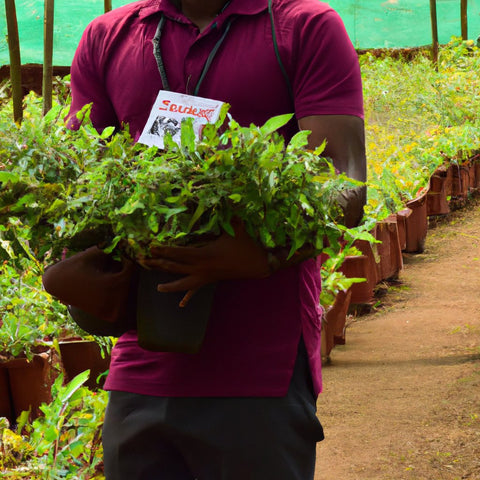 plant nursery worker jobs near Rajamahendravaram, Andhra Pradesh