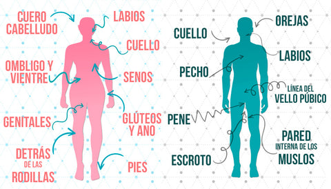 Las zonas erogenas se dividen en tres partes