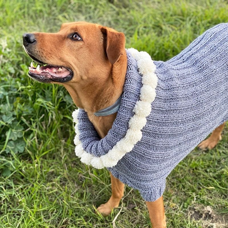 Knitted Dog Sweater Pattern (3 Sizes) - Handy Little Me