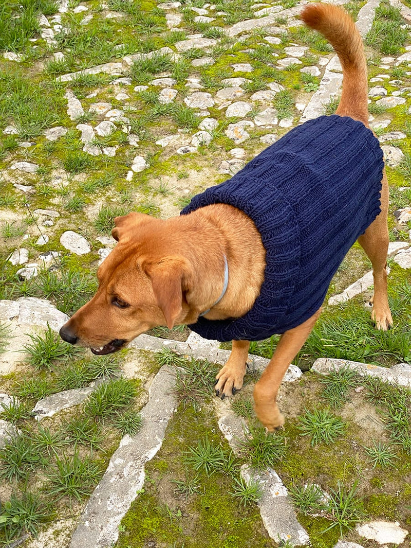 Dog Jumper Knitting Pattern - Rainbow Stripes - Handy Little Me