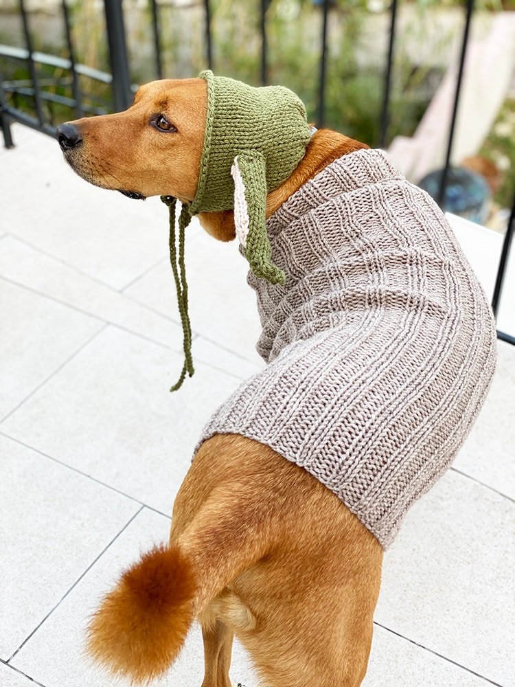 yoda dog sweater